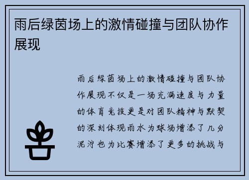 雨后绿茵场上的激情碰撞与团队协作展现