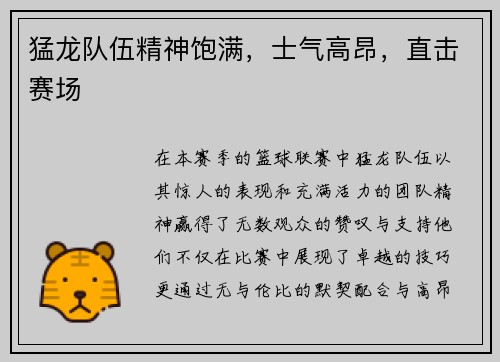 猛龙队伍精神饱满，士气高昂，直击赛场