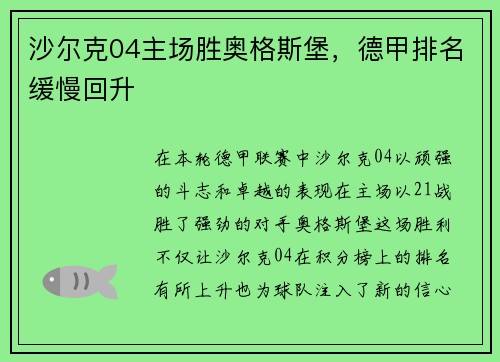 沙尔克04主场胜奥格斯堡，德甲排名缓慢回升