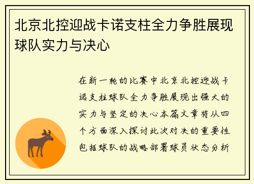 北京北控迎战卡诺支柱全力争胜展现球队实力与决心