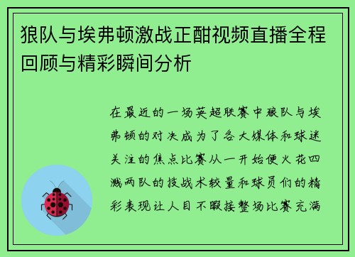 狼队与埃弗顿激战正酣视频直播全程回顾与精彩瞬间分析