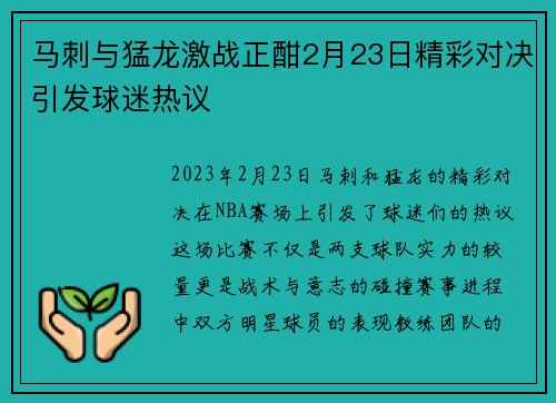 马刺与猛龙激战正酣2月23日精彩对决引发球迷热议
