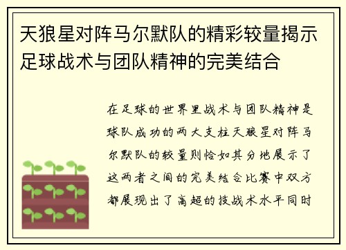 天狼星对阵马尔默队的精彩较量揭示足球战术与团队精神的完美结合
