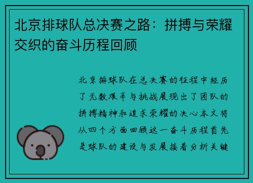 北京排球队总决赛之路：拼搏与荣耀交织的奋斗历程回顾
