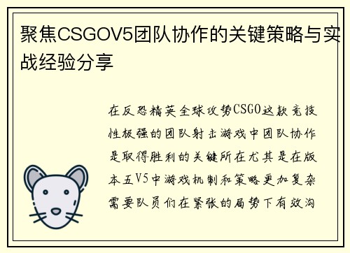 聚焦CSGOV5团队协作的关键策略与实战经验分享